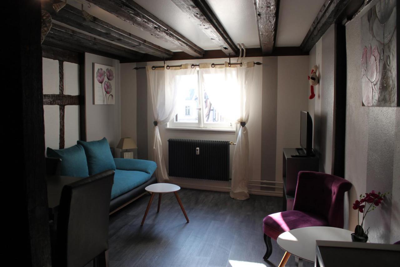 Appartement Les Violettes Colmar Ngoại thất bức ảnh