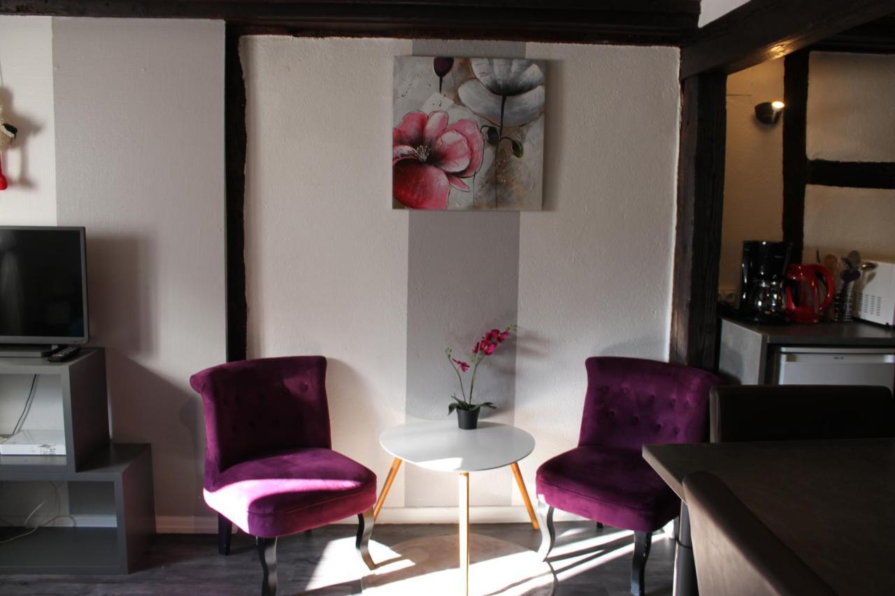 Appartement Les Violettes Colmar Ngoại thất bức ảnh
