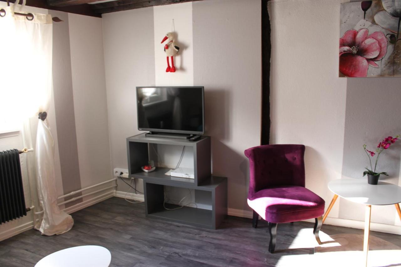Appartement Les Violettes Colmar Ngoại thất bức ảnh